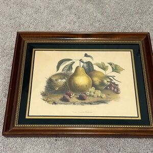 Framed Pear Still Life Wall Art - Green and Brown